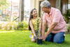 A grandfather gardening with his granddaughter on the lawn outside a house